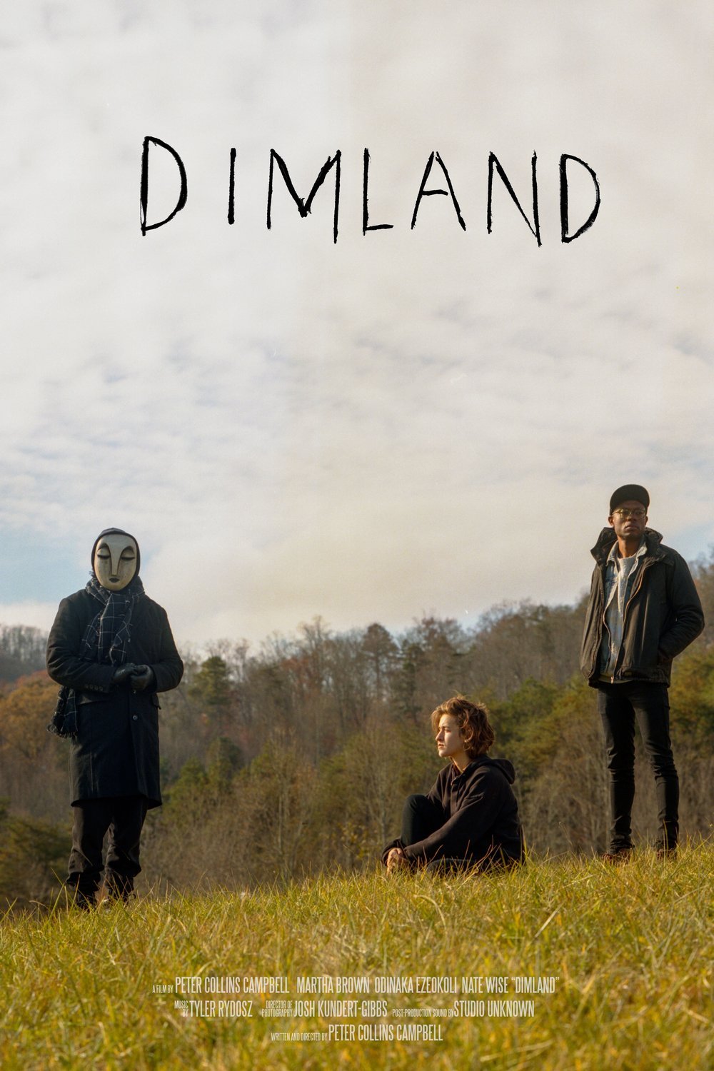 L'affiche du film DimLand