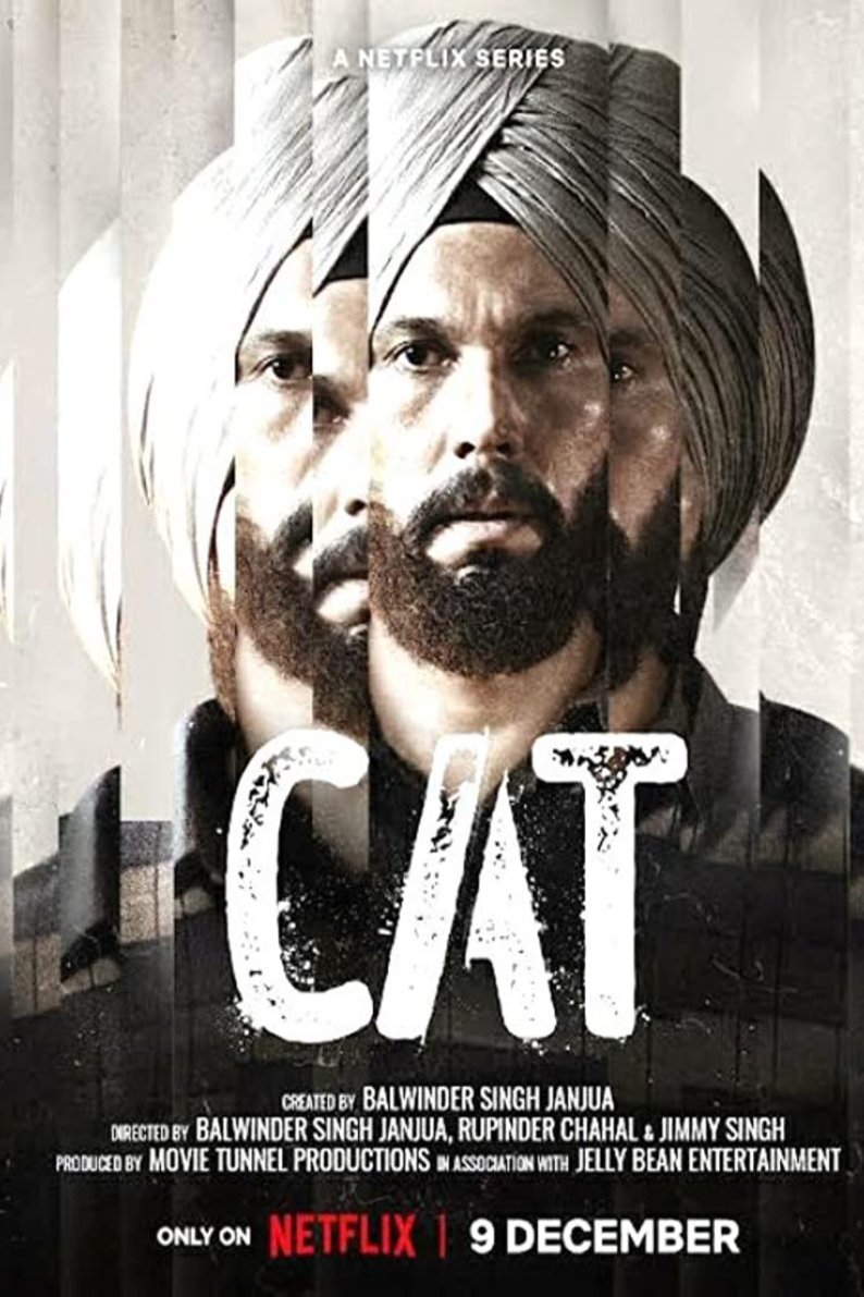 L'affiche originale du film Cat en Penjabi