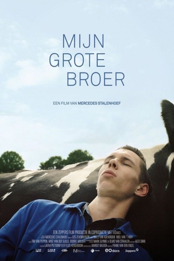 L'affiche originale du film Mijn grote broer en Néerlandais