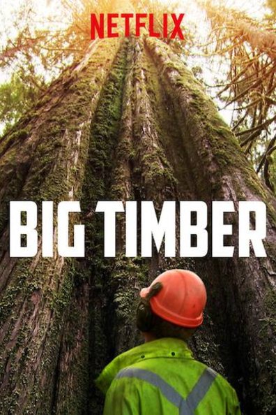 L'affiche du film Big Timber