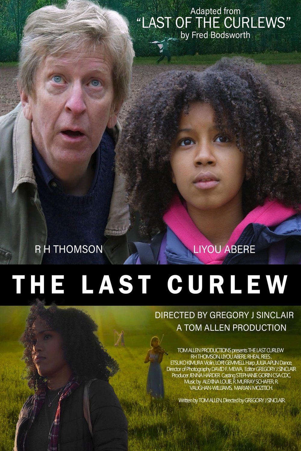 L'affiche du film The Last Curlew