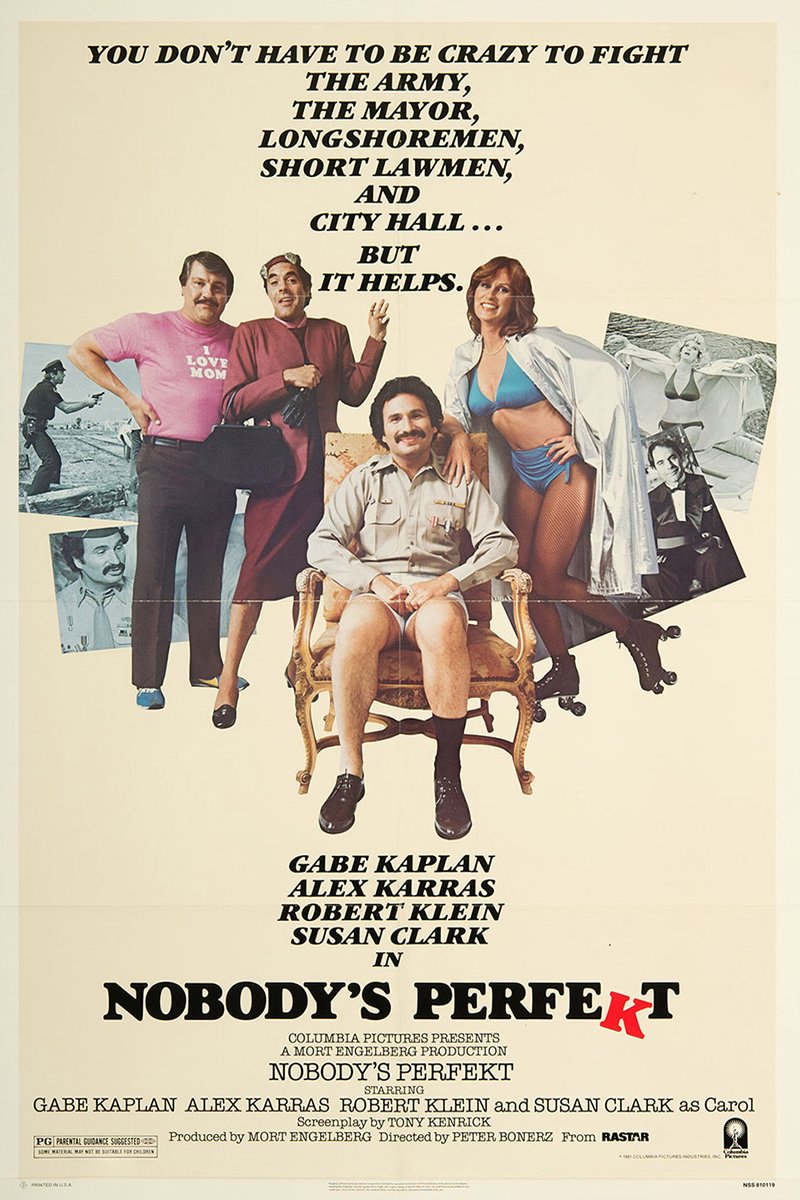 L'affiche du film Nobody's Perfekt