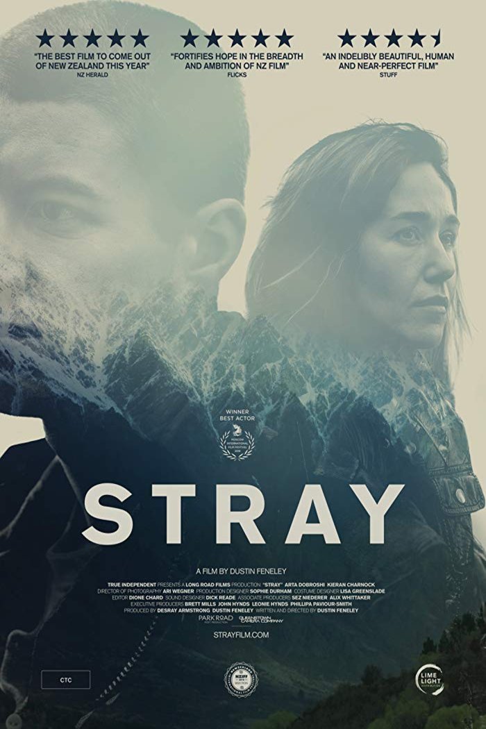 L'affiche du film Stray