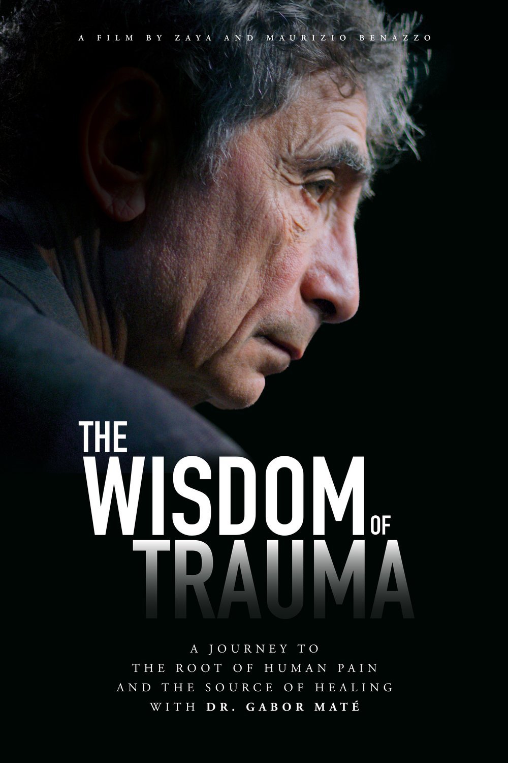 L'affiche du film The Wisdom of Trauma