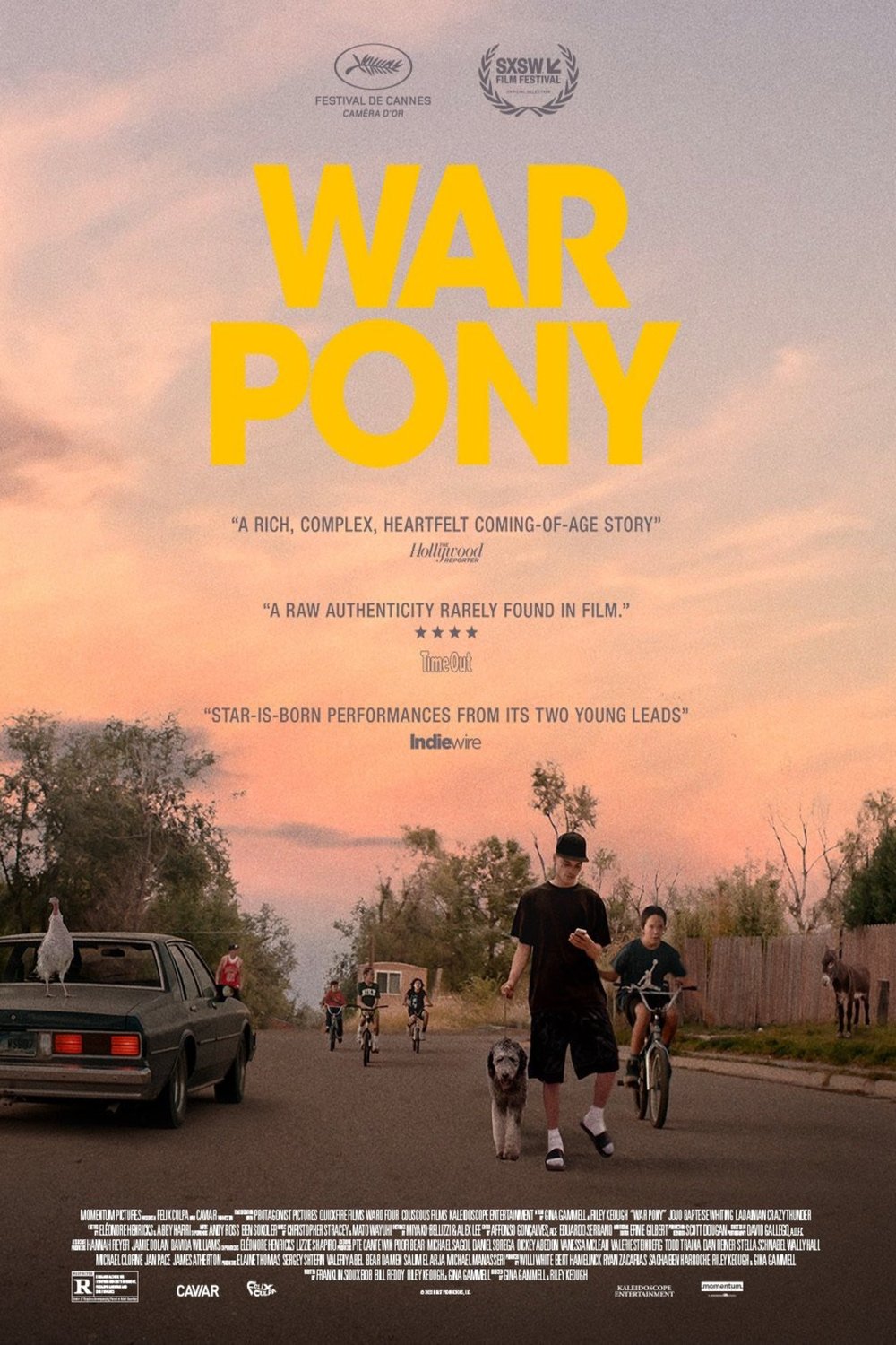 L'affiche du film War Pony