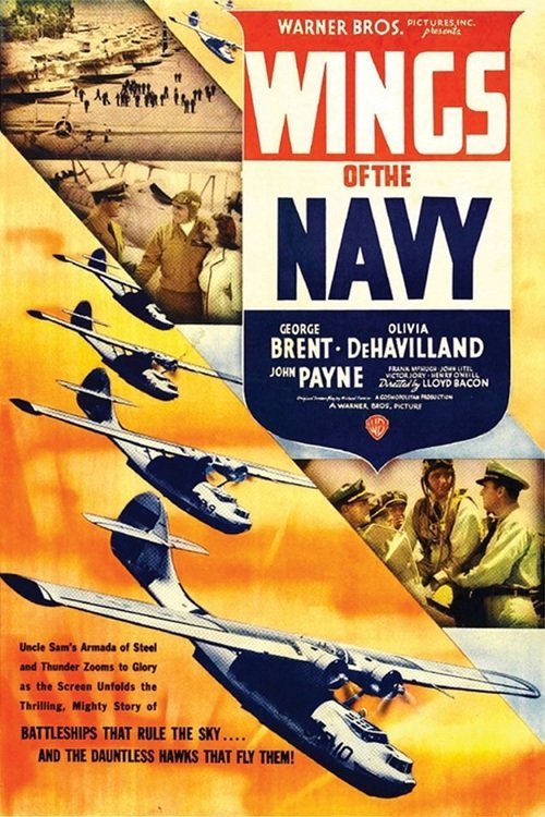 L'affiche du film Wings of the Navy