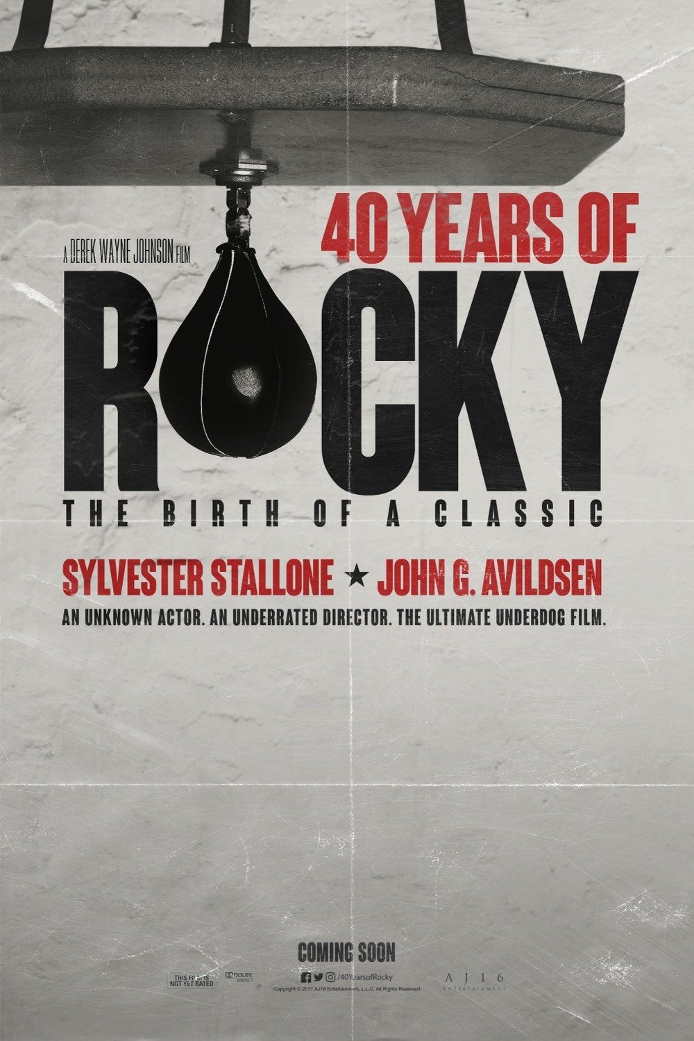 L'affiche du film 40 Years of Rocky: The Birth of a Classic