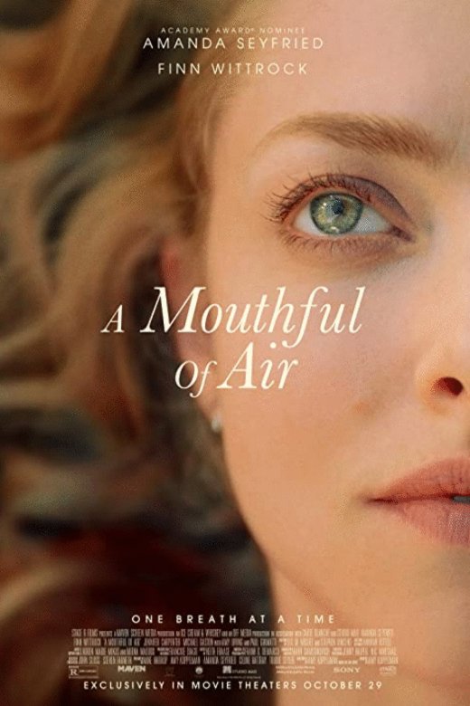 L'affiche du film A Mouthful of Air