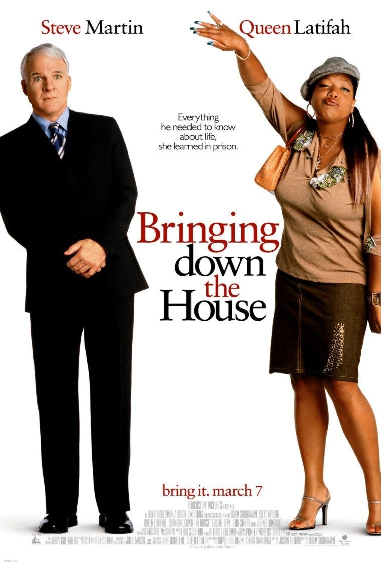 L'affiche du film Bringing Down the House