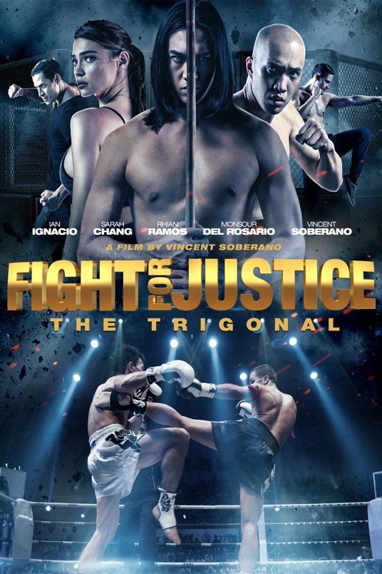 L'affiche du film Fight for Justice: The Trigonal