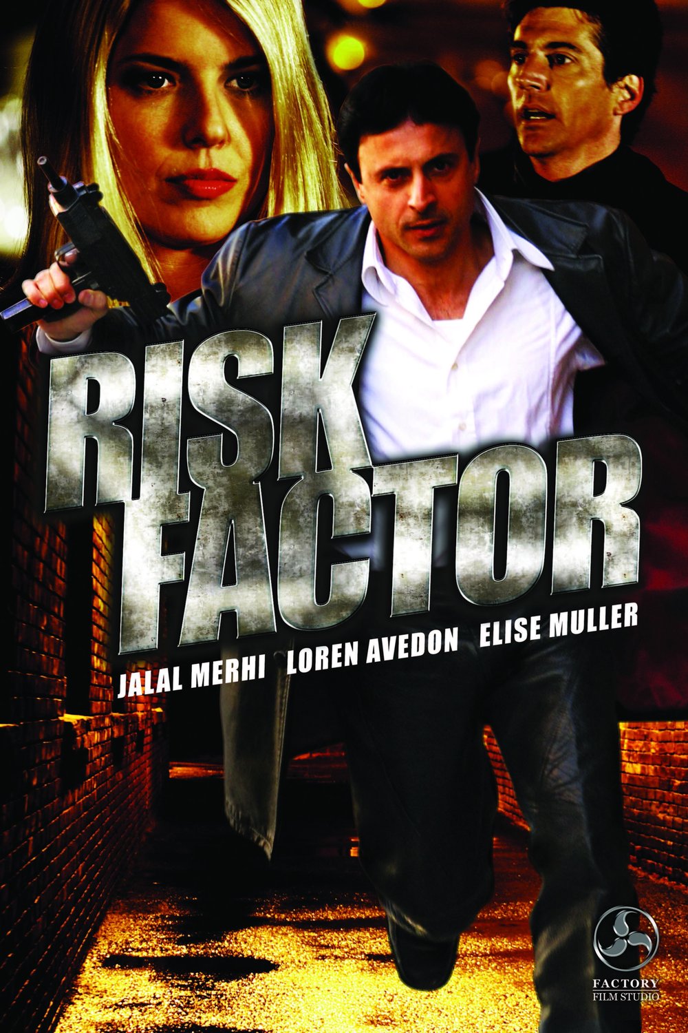 L'affiche du film Risk Factor
