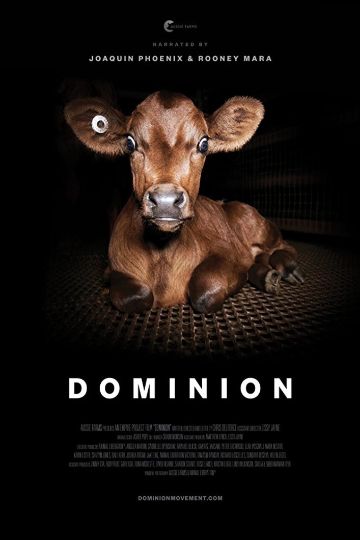 L'affiche du film Dominion