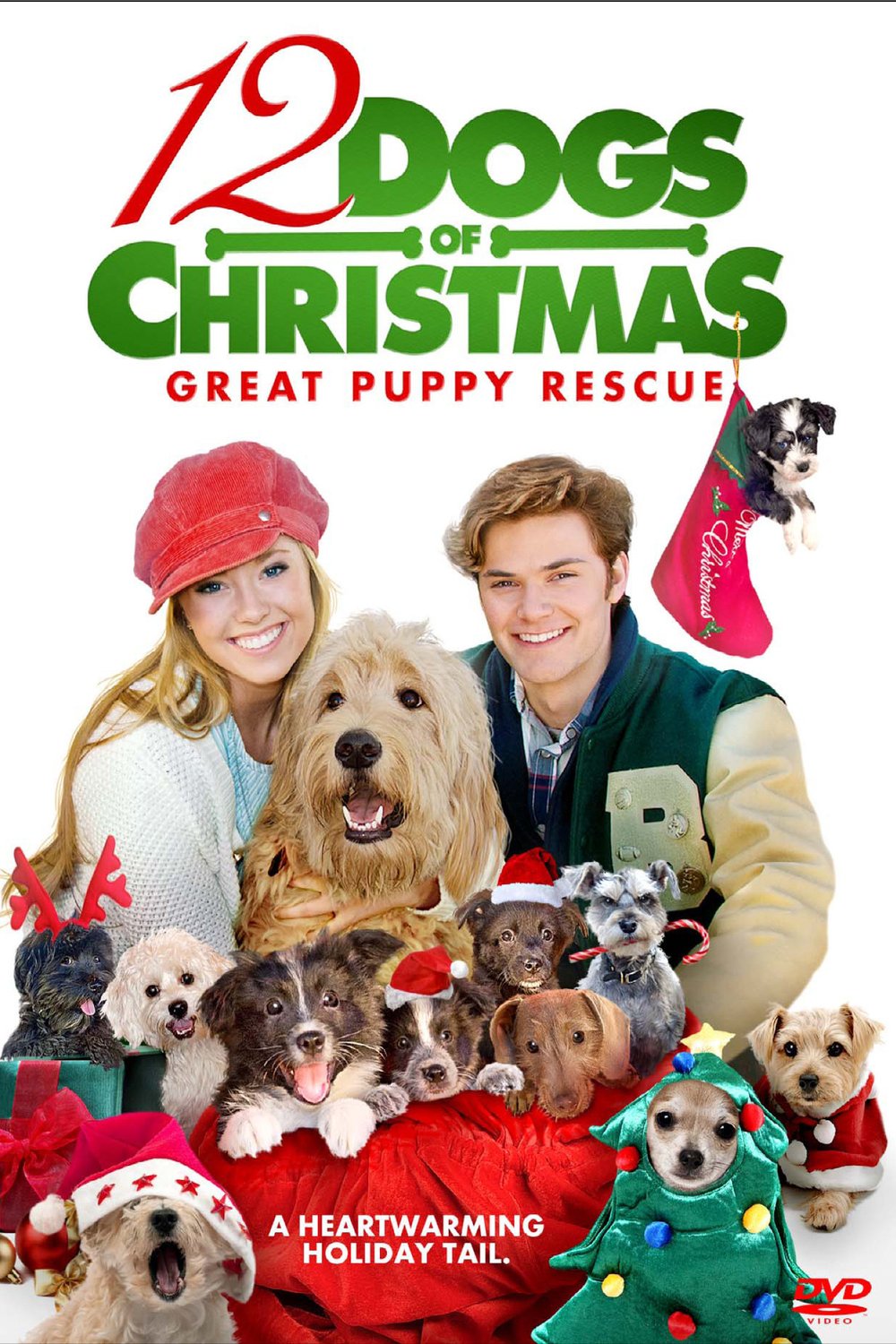 Poster of the movie 12 Dogs of Christmas: Great Puppy Rescue