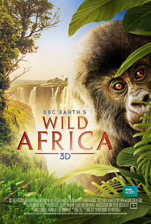 L'affiche du film Afrique