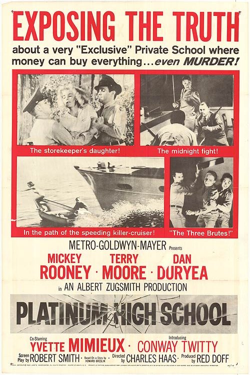 Poster of the movie Platinum High School