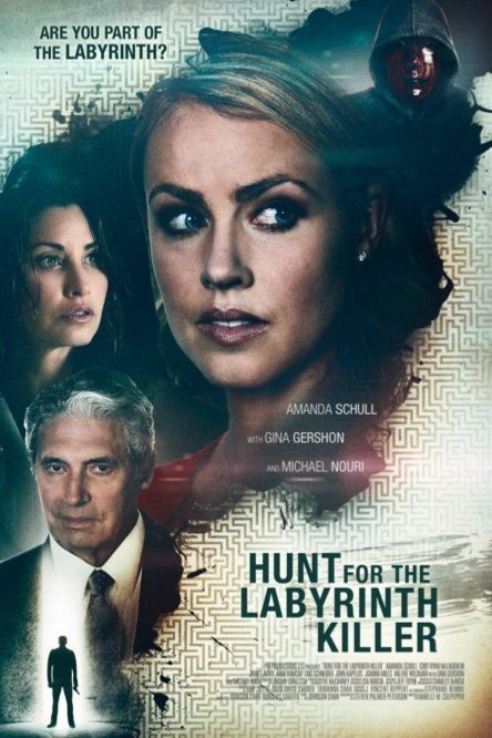 L'affiche du film Hunt for the Labyrinth Killer