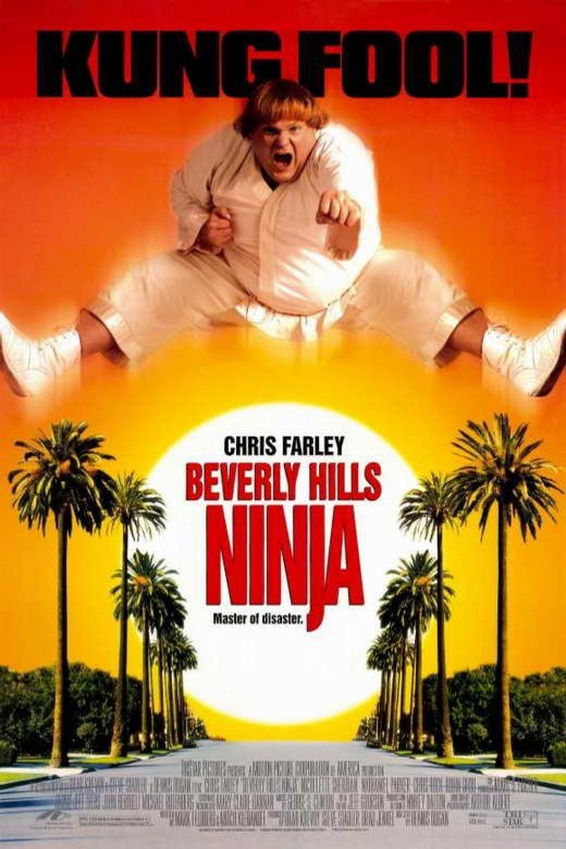 L'affiche du film Beverly Hills Ninja