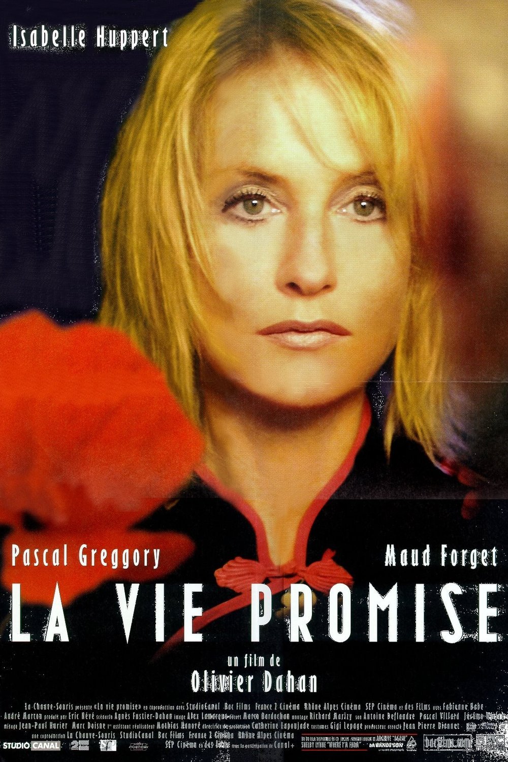 L'affiche du film The Promised Life