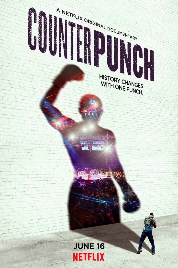 L'affiche du film CounterPunch