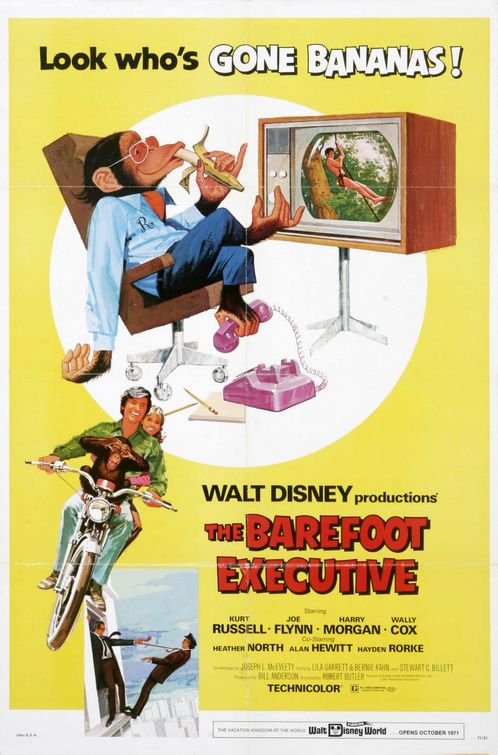 L'affiche du film The Barefoot Executive