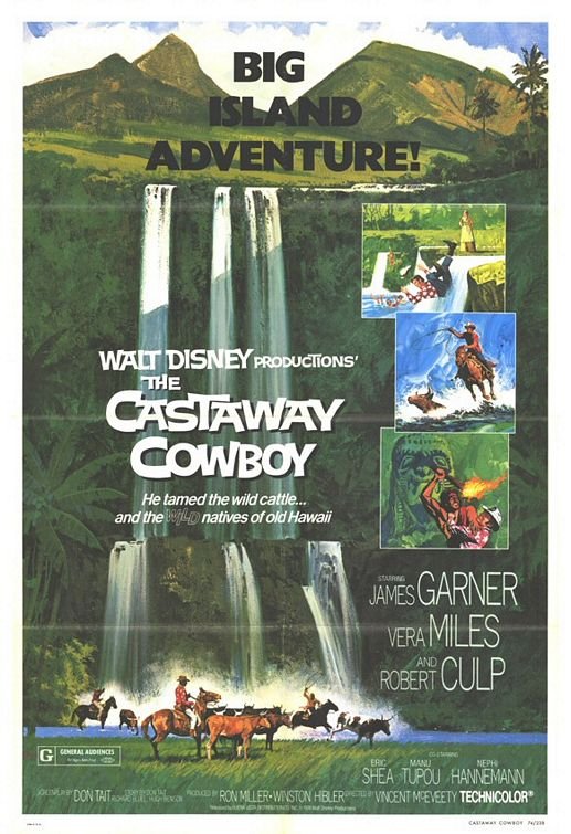 L'affiche du film The Castaway Cowboy