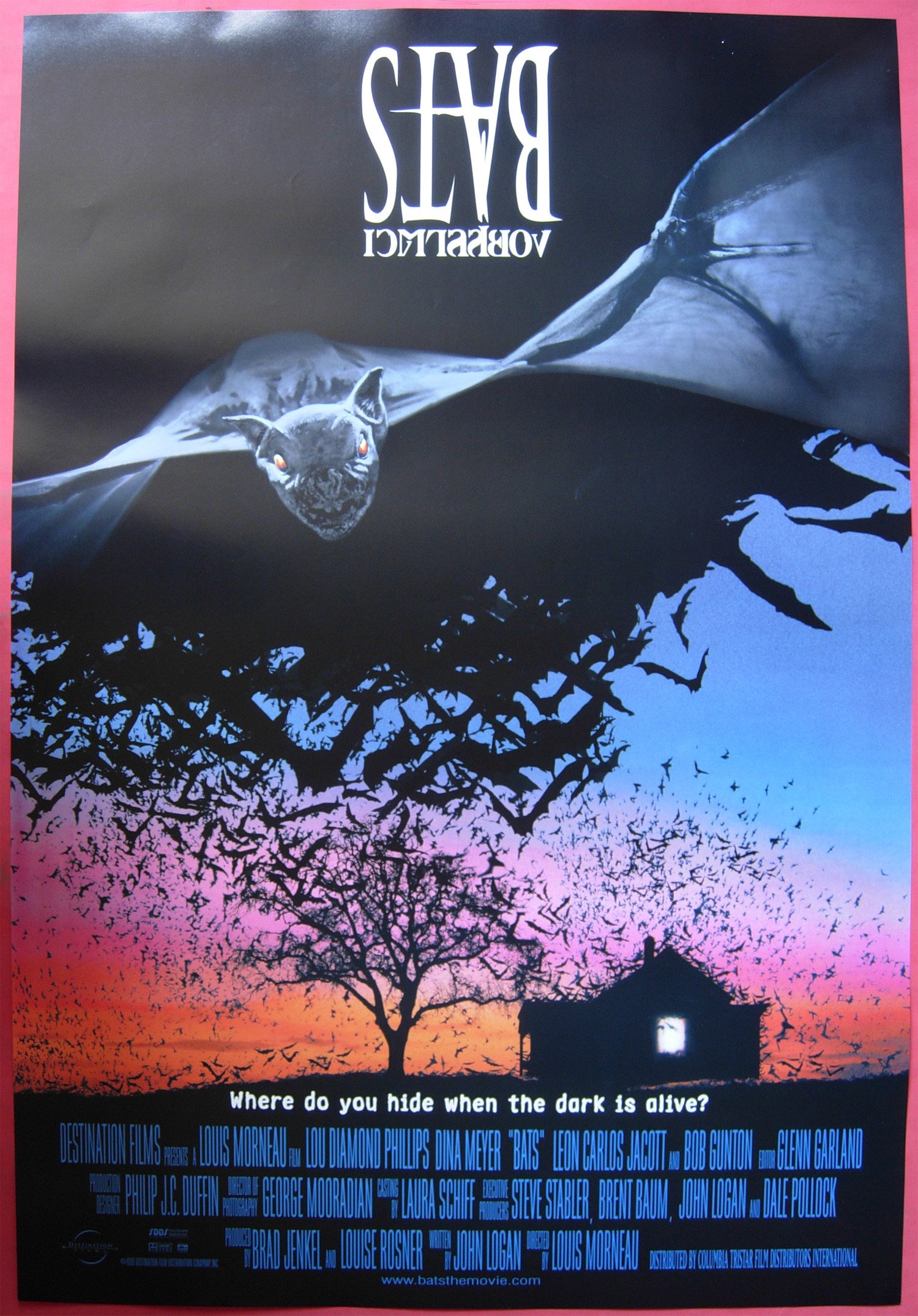 L'affiche du film Bats