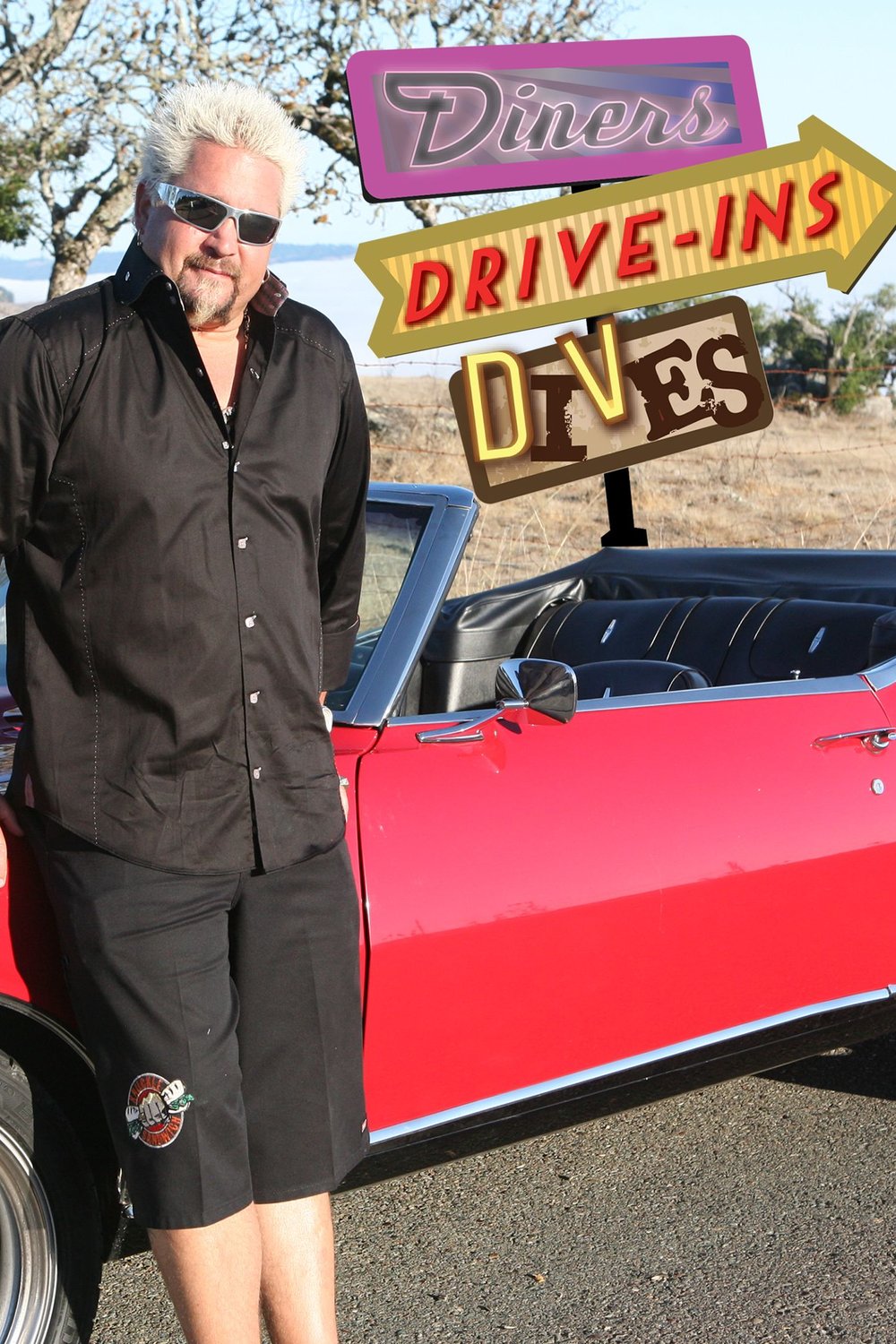Poster of the movie Diners, Drive-ins and Dives