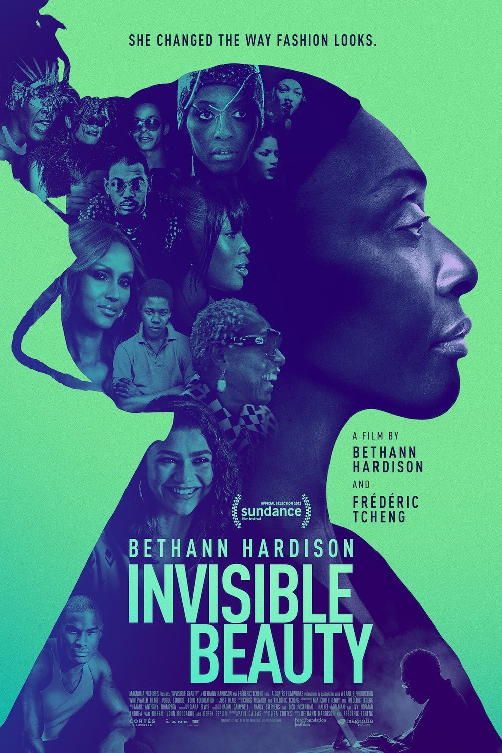 Poster of the movie Invisible Beauty