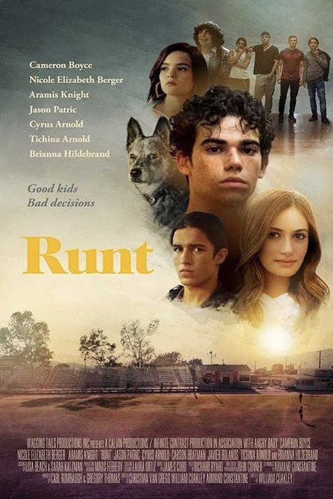L'affiche du film Runt
