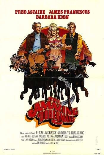 L'affiche du film The Amazing Dobermans