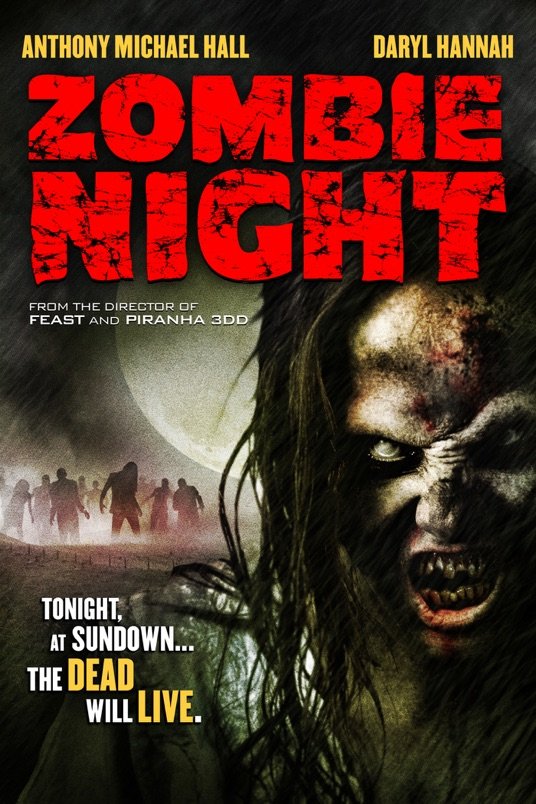 L'affiche du film Zombie Night