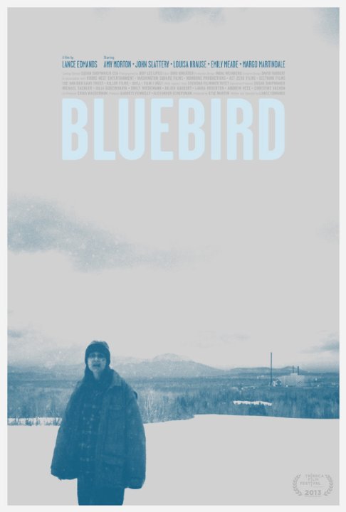 L'affiche du film Bluebird