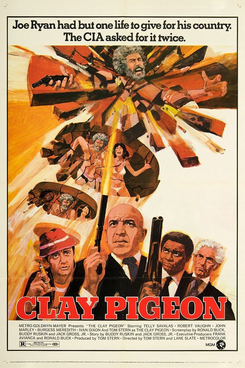 Poster of the movie Clay Pigeon