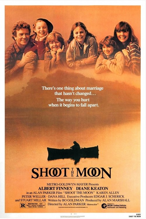 L'affiche du film Shoot the Moon