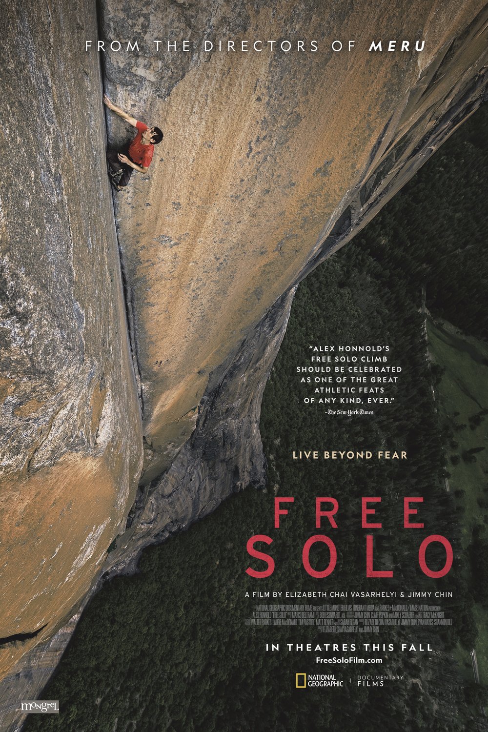 Poster of the movie Free Solo