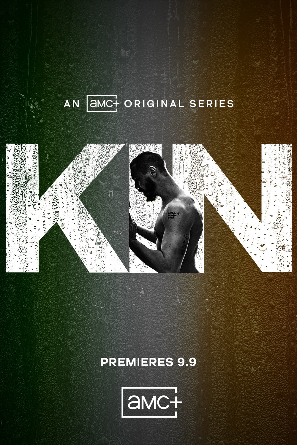Poster of the movie Kin