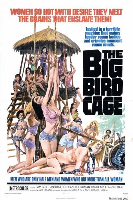 L'affiche du film The Big Bird Cage