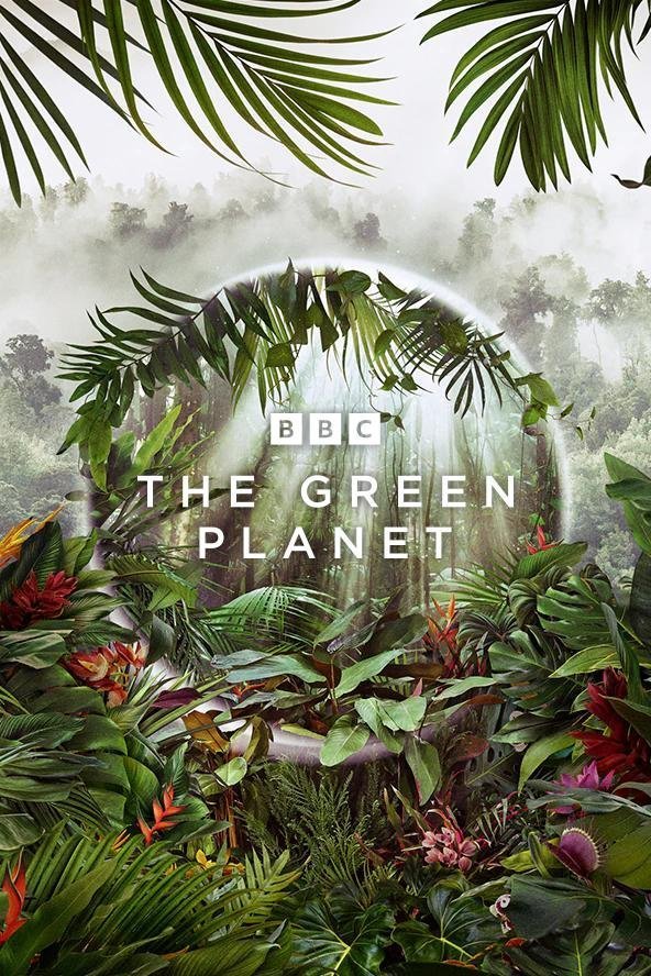 Poster of the movie The Green Planet