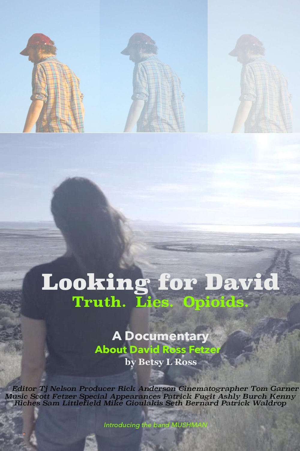 L'affiche du film Looking for David