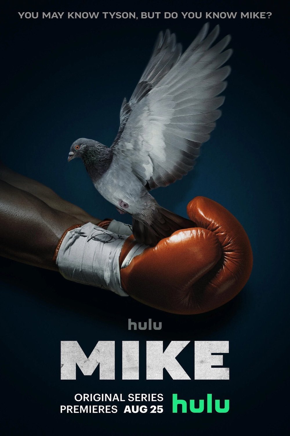 L'affiche du film Mike