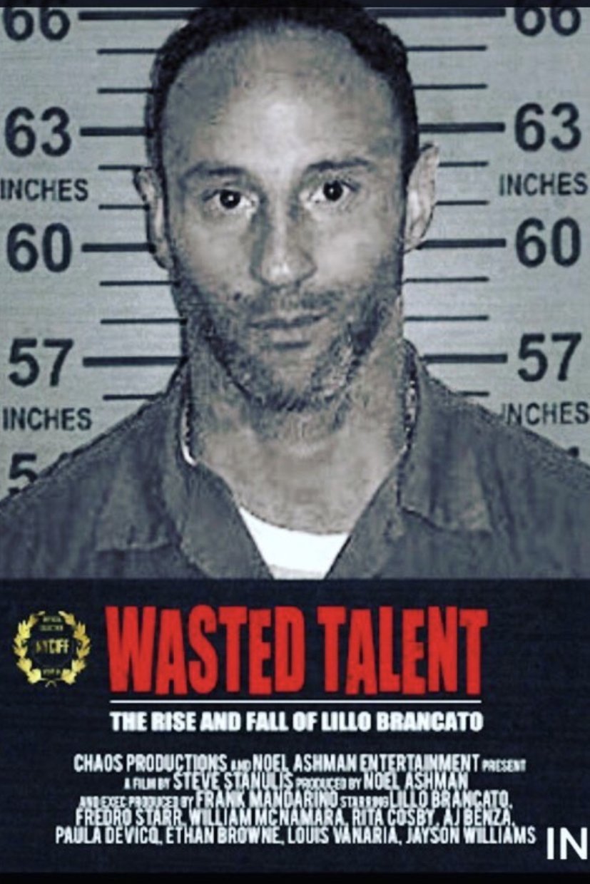 L'affiche du film Wasted Talent