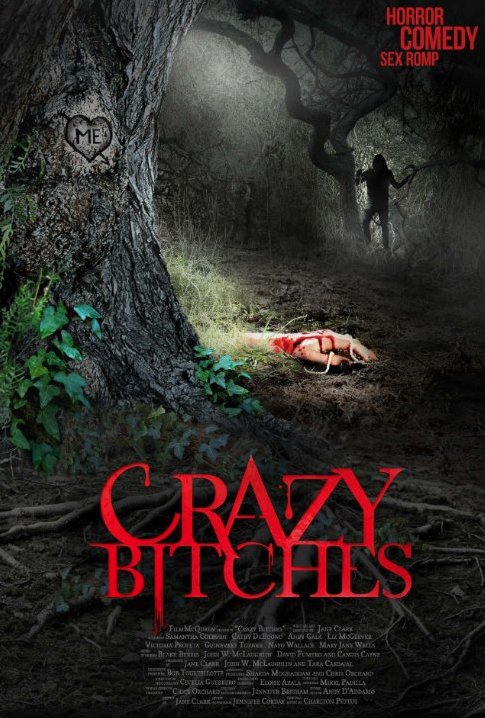 L'affiche du film Crazy Bitches