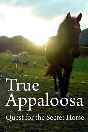 L'affiche du film True Appaloosa