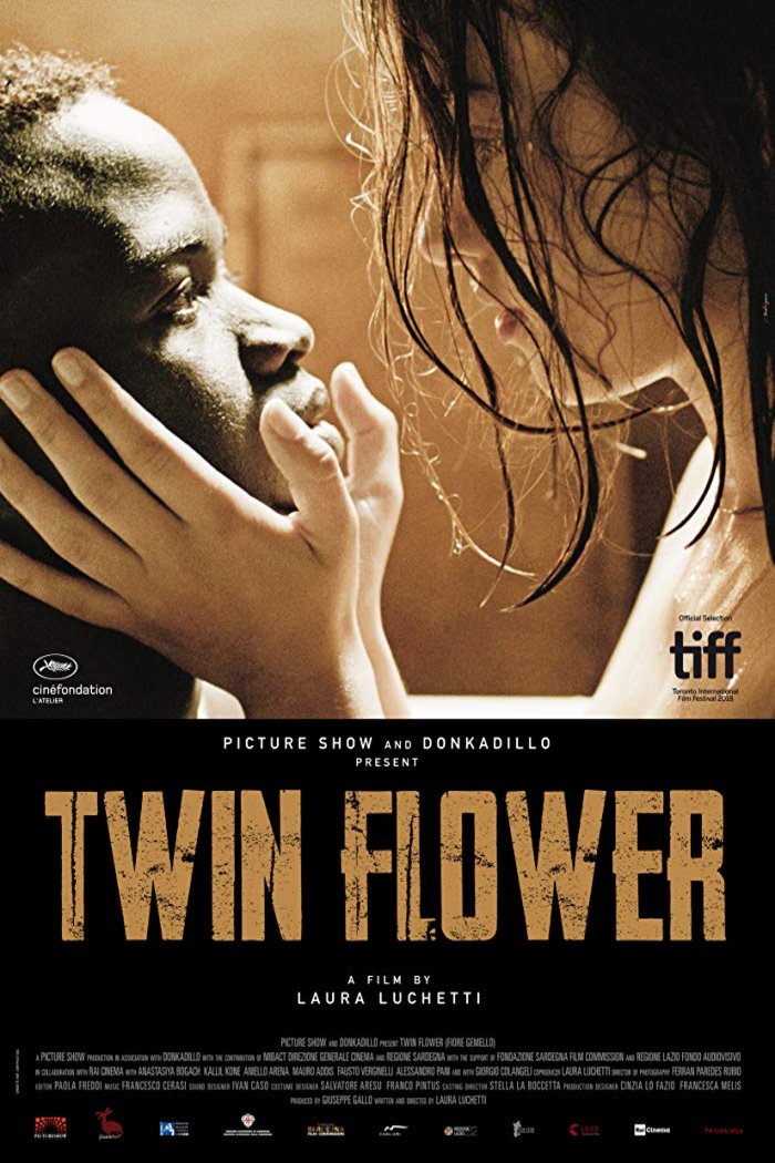 L'affiche du film Twin Flower