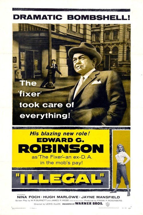 Poster of the movie Illegal