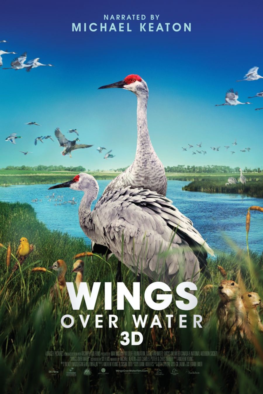 L'affiche du film Wings Over Water