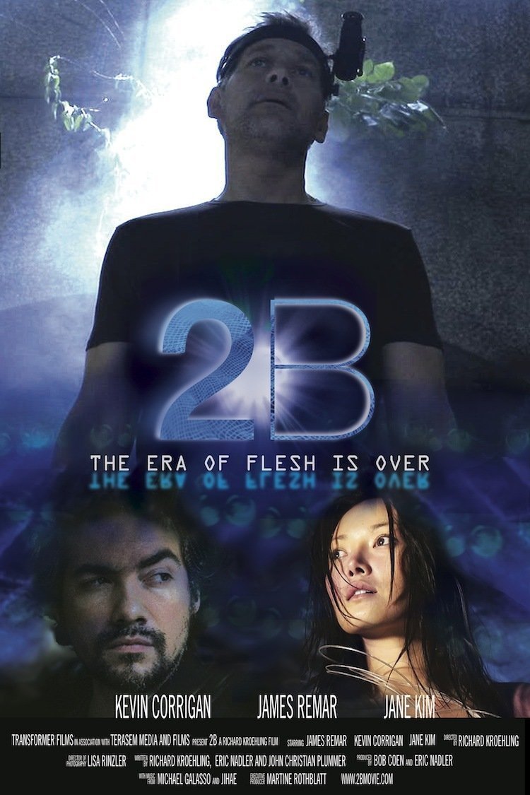 L'affiche du film 2B