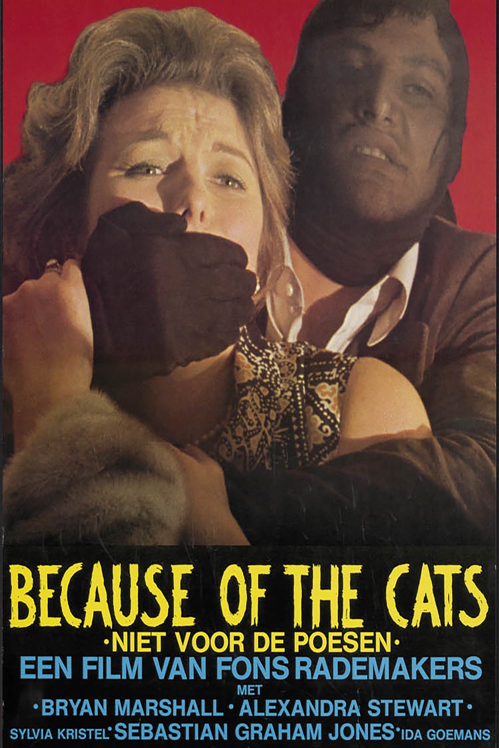 L'affiche du film Because of the Cats