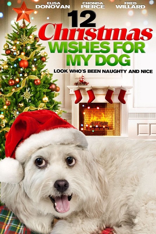 Poster of the movie 12 Christmas Wishes for My Dog