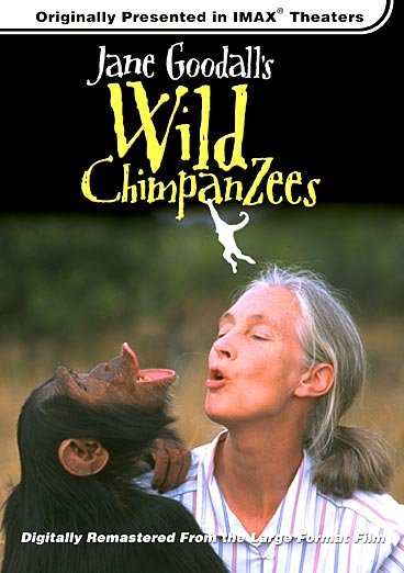 L'affiche du film Jane Goodall's Wild Chimpanzees